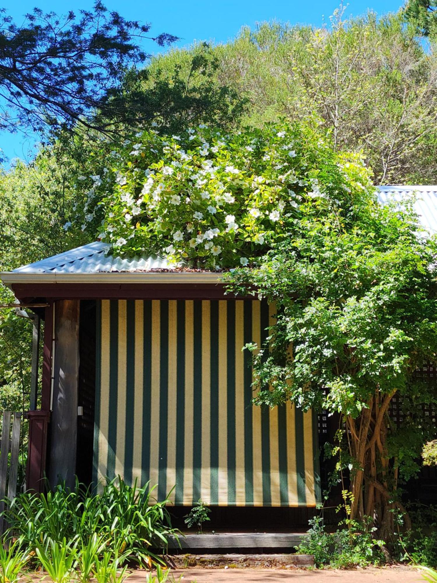 Redgum Hill Country Retreat Guest House Balingup Exterior foto